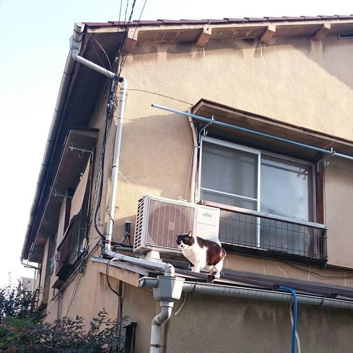 Bdb082a2 21b3 4138 98a3 21d7abe1f7a2 1520998813036