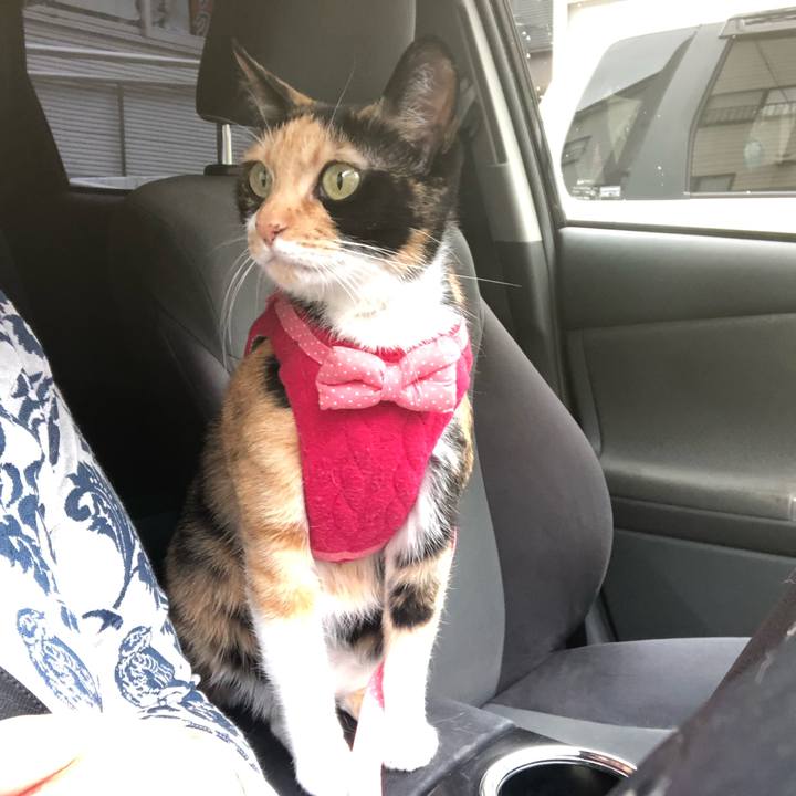 Bdb08ac6 c4f7 4cde b1be 2ca2a540d092 1602203062691