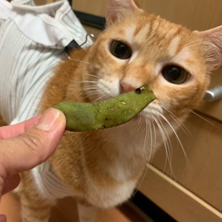 Bdb08e22 d8bc 4cfc b433 9019f7a4e6d1 1571914057104