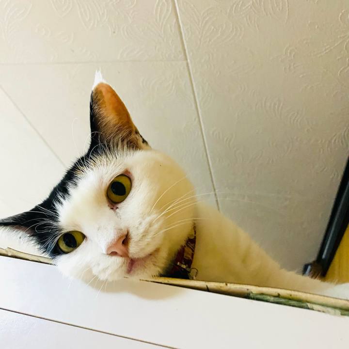 Bdb099a1 3647 4b22 b165 64be176ac62c 1661689956982