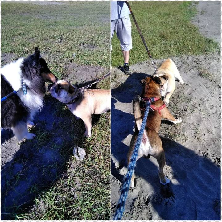 Bdb0d034 0011 4c95 8624 1aca69b43ac6 1536670946787