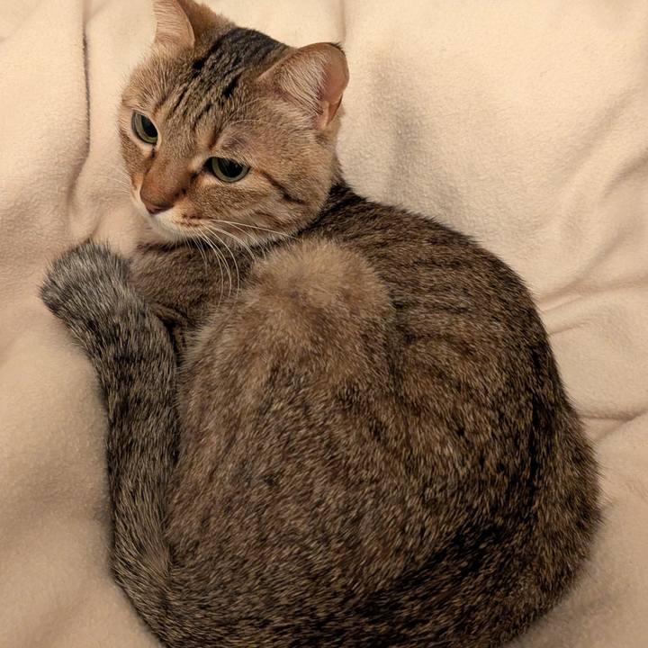 Bdb0f16d 0290 4be8 9403 2be804ec8f86 1770745204456