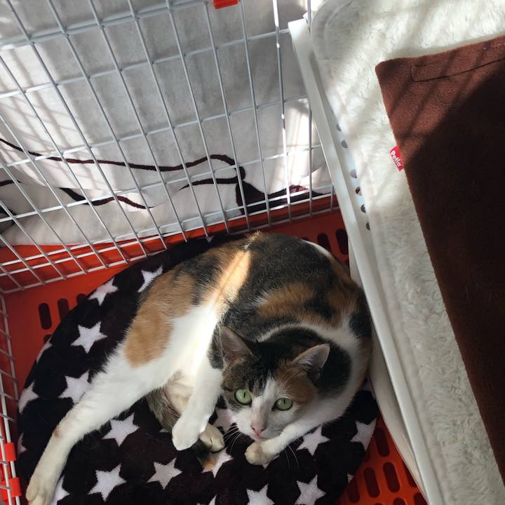 Bdb100fb d186 4799 860f 4ff88870d963 1572687857680