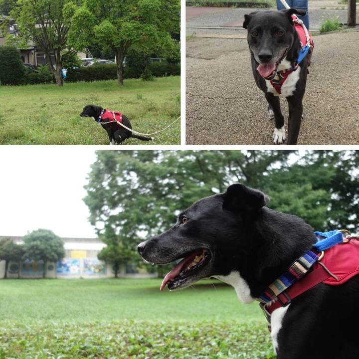 Bdb11661 7844 43b0 b863 3fb6e3f9c6a7 1657754092206