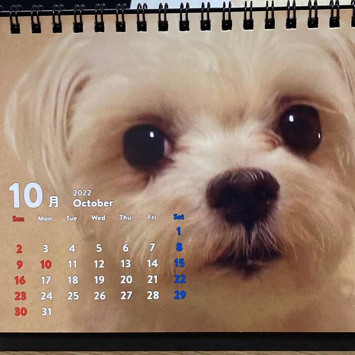 Bdb120a7 a131 4b24 b391 1c845dfc52ca 1667229239580