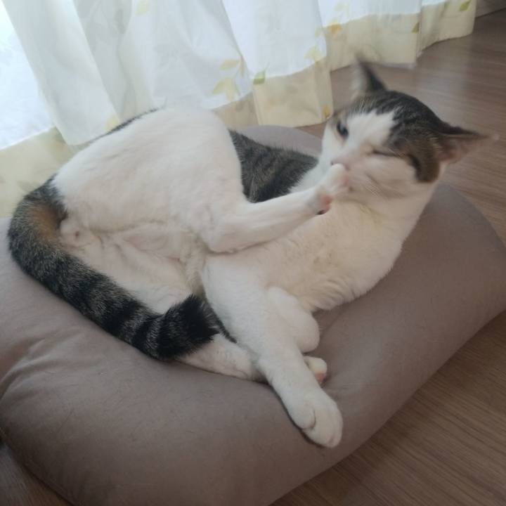 Bdb1506e e707 46ff 88b1 699eeb2975da 1589406106055