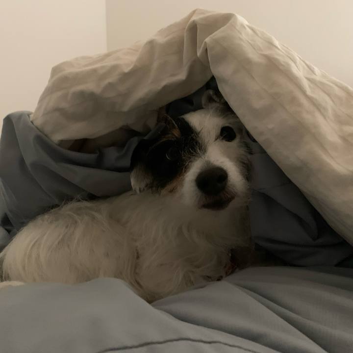 Bdb158c0 6f6f 42d1 9efe 6d1de5e292ee 1706967329724