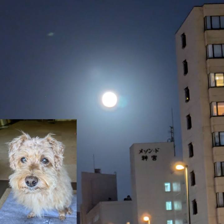 Bdb15ab3 7808 4b32 91ce 9dd47c8fadbb 1729163797156