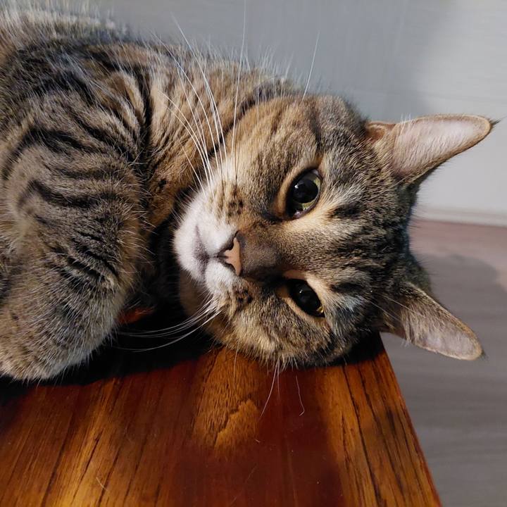 Bdb1b0d9 c08f 4a2b 84b3 e52fb4433ed5 1630440044621