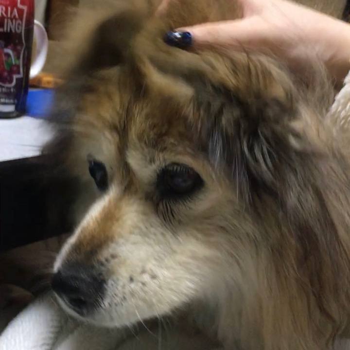 Bdb1bce9 eb96 4ef8 b6dd ad02891d12c5 1579503172169