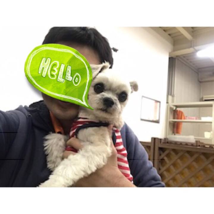 Bdb1f9d3 94d8 47be 90b4 403b84787f40 1547161672880