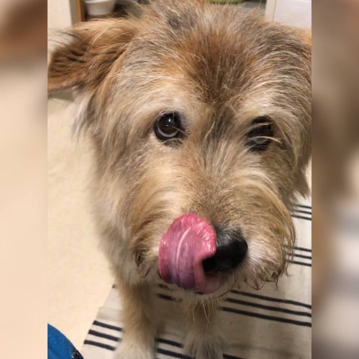 Bdb228dc 2a22 43ed 97c7 2240971c852c 1634003880535