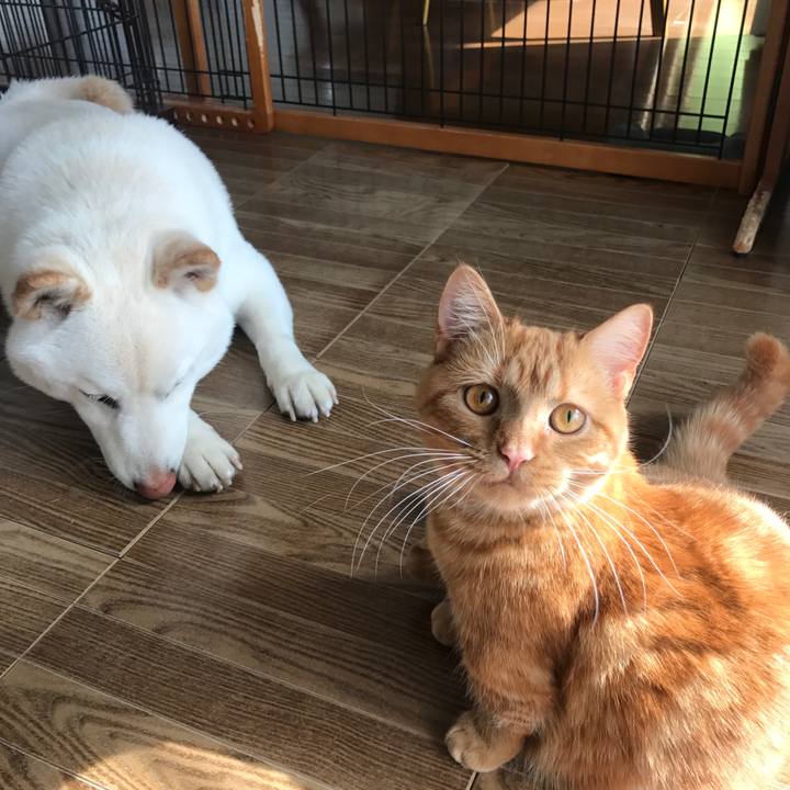 Bdb2888b 8d41 4660 849c 558521196c90 1521261756961