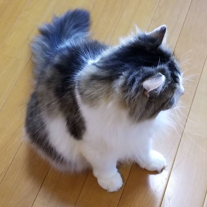 Bdb28ef7 c409 46f6 b409 40a58b20d27c 1564009125612