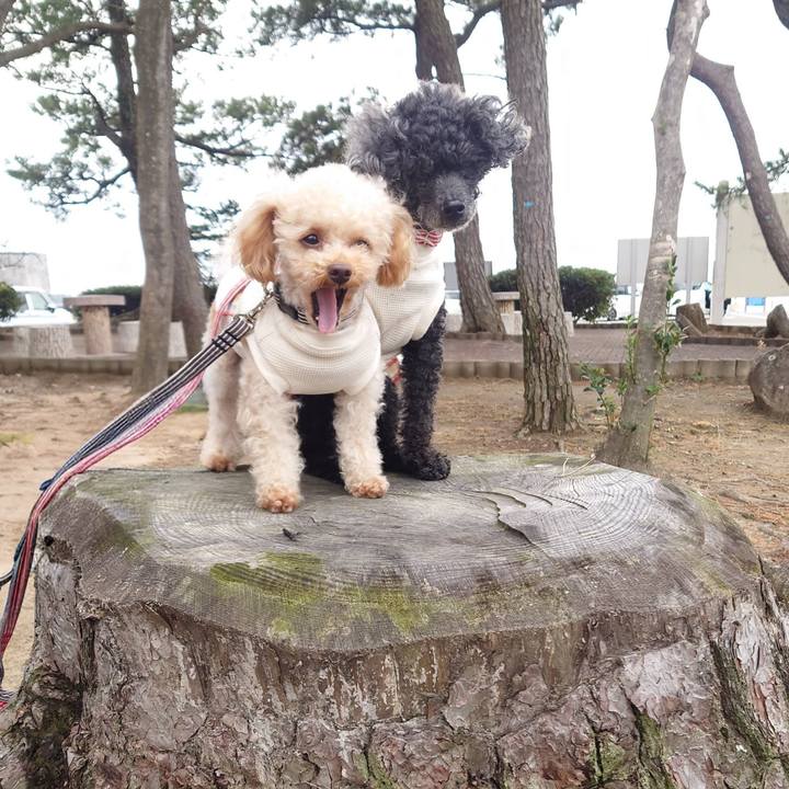 Bdb295ed 580f 4b5d aa34 e3b600f30766 1772262045819