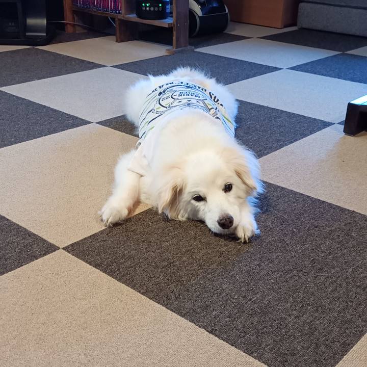 Bdb2dcfa 672a 47f5 8264 004307ace930 1755594921771