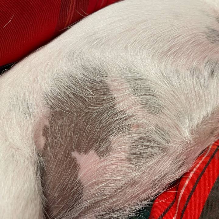 Bdb30646 9b17 451d b262 79b3e026f2d2 1667732363967