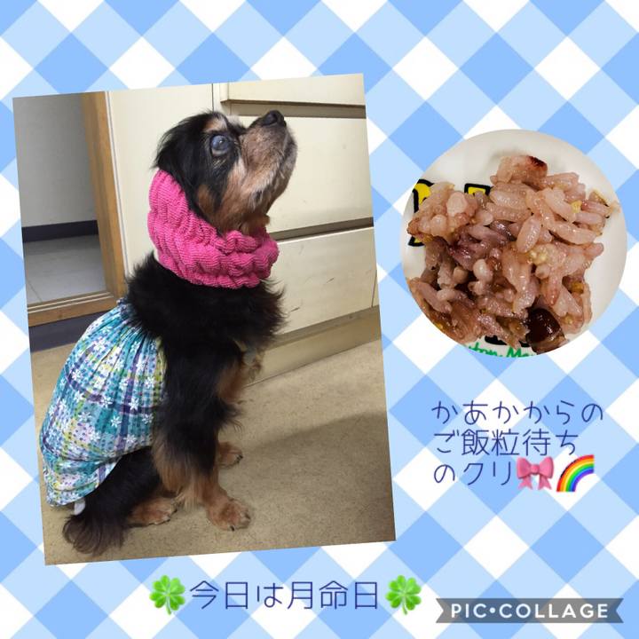 Bdb335ba 6683 4089 b72b 8ac71499ed51 1566461082118