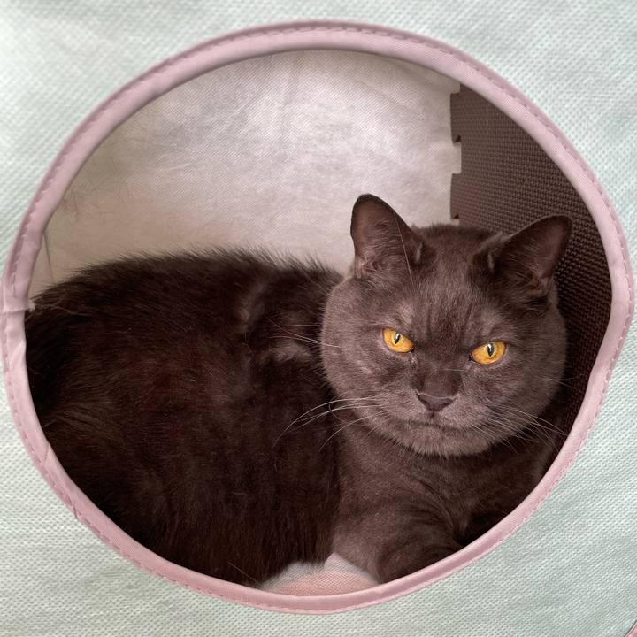 Bdb39e71 b883 455b bc91 37797ca3e831 1763252633968