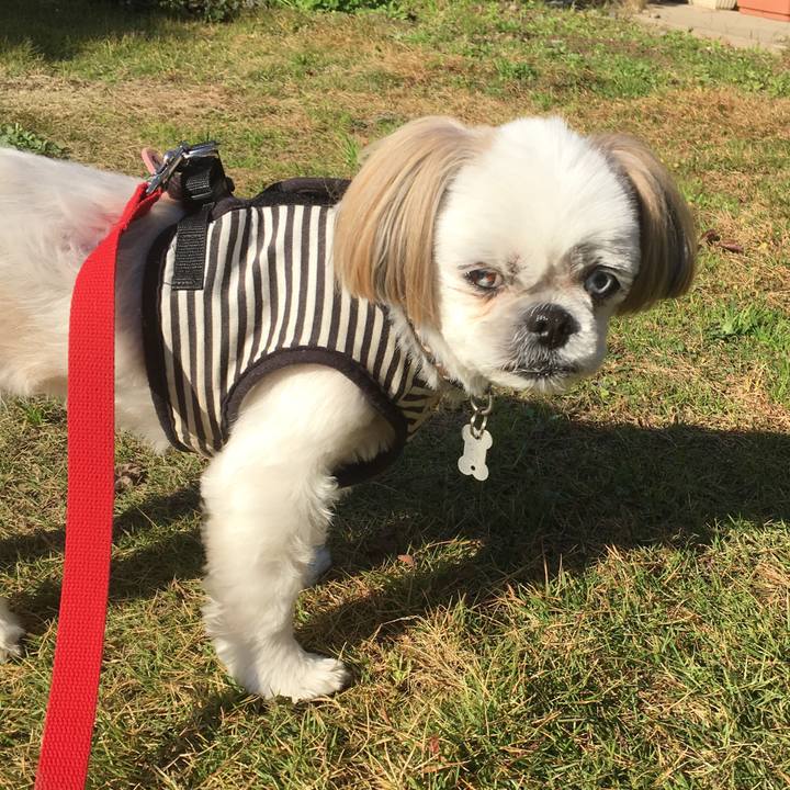 Bdb3b8d7 956e 48e6 95b2 39b62d3426ba 1543386885808