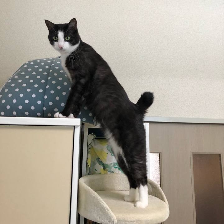 Bdb3ec22 1f0c 4ccc 8991 cc887d08f023 1554261427543