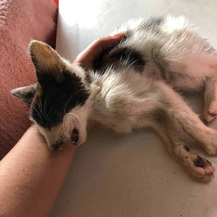 Bdb3fef7 c8e4 4bb1 a540 06d330e912cd 1561952370834