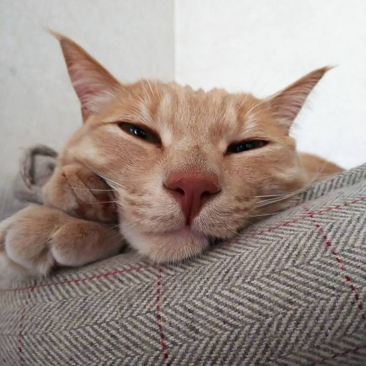 Bdb43598 7521 4b08 a8d3 75450fe66412 1582350830877