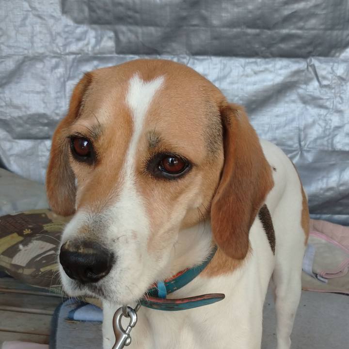 Bdb45af5 4ecf 4448 9a4e 271e79613375 1603686247124