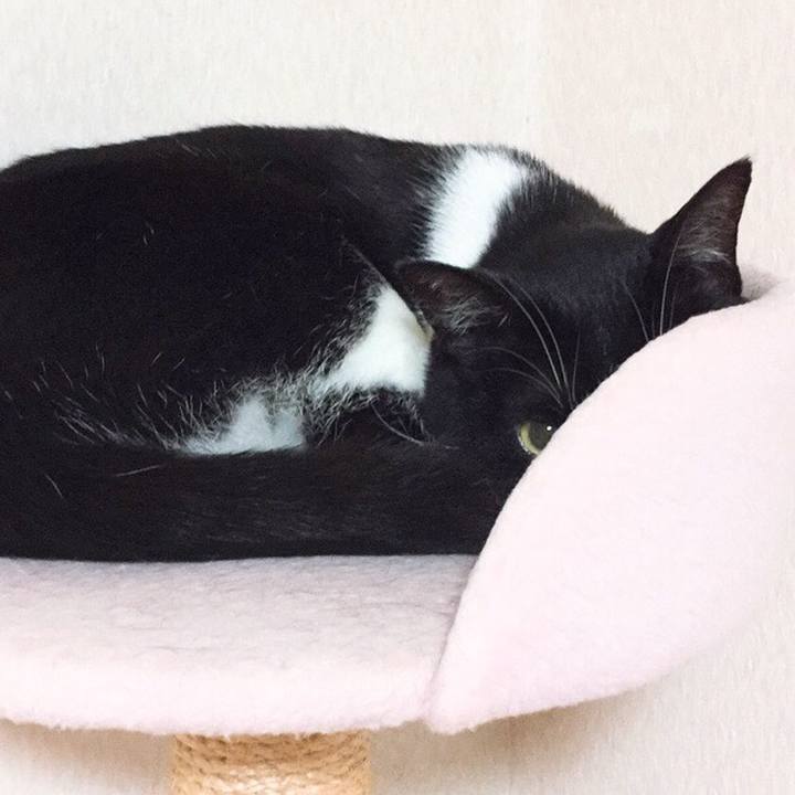 Bdb47bc3 8bf0 4711 9efd 2d7cb44fab49 1528124219840