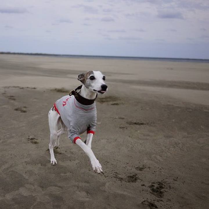 Bdb49590 a8e4 483e aeb0 9807886f4a9e 1540636528603