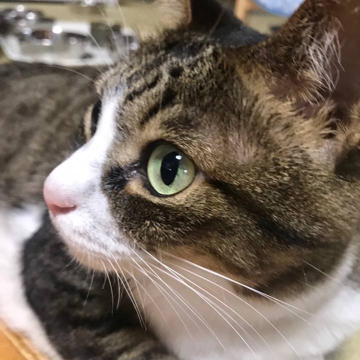 Bdb4fc5c 453d 4c4b 8c30 fbb6ecffe1ce 1558171702046