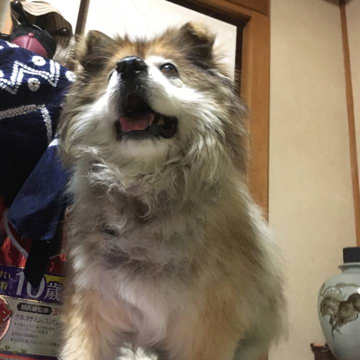 Bdb506ea a673 43e6 8349 403a905cd51d 1554064374068