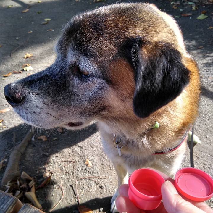 Bdb5135d d0a2 4248 b2cc cc2a72cfcfc9 1569369611142