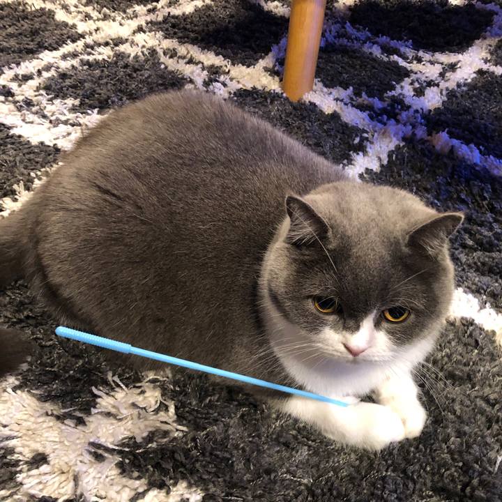 Bdb53a2a d24c 454d a0ee 1830ead95e09 1608119583861