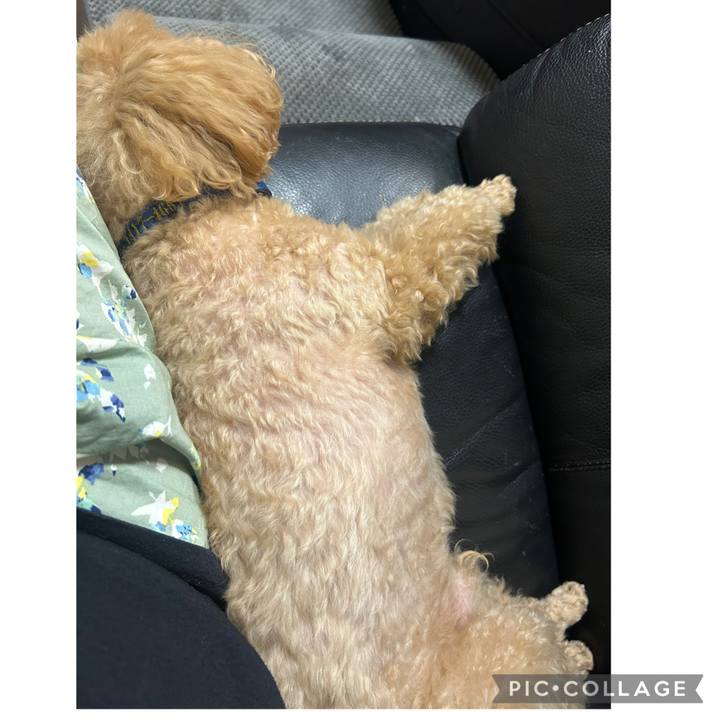 Bdb56f4c 7da2 4fb8 b67a 678b8632a49e 1752851905959