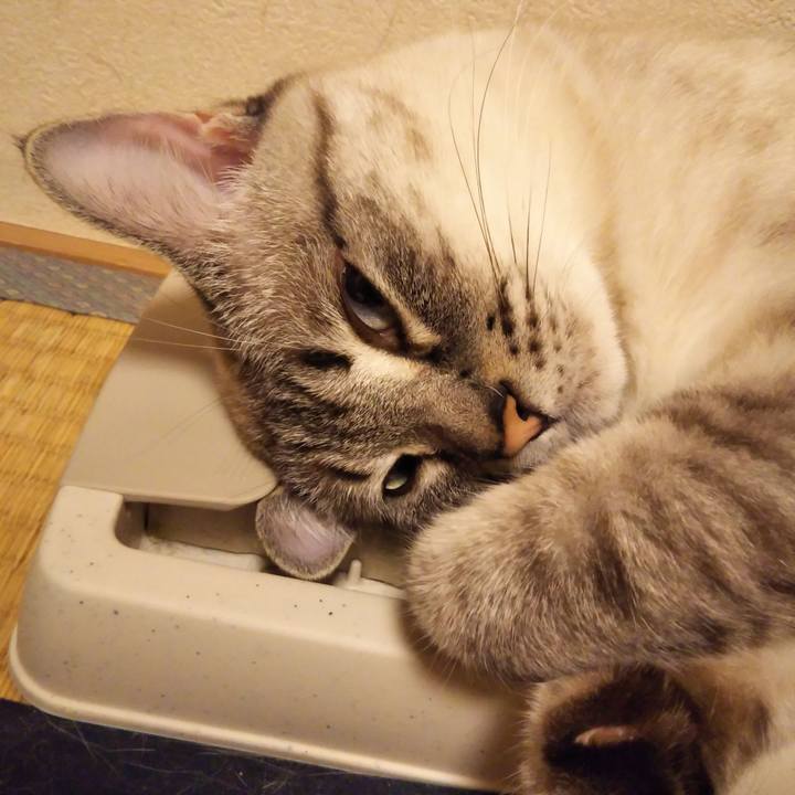 Bdb5b286 466c 4558 a072 8b435b2cdb49 1532090255229