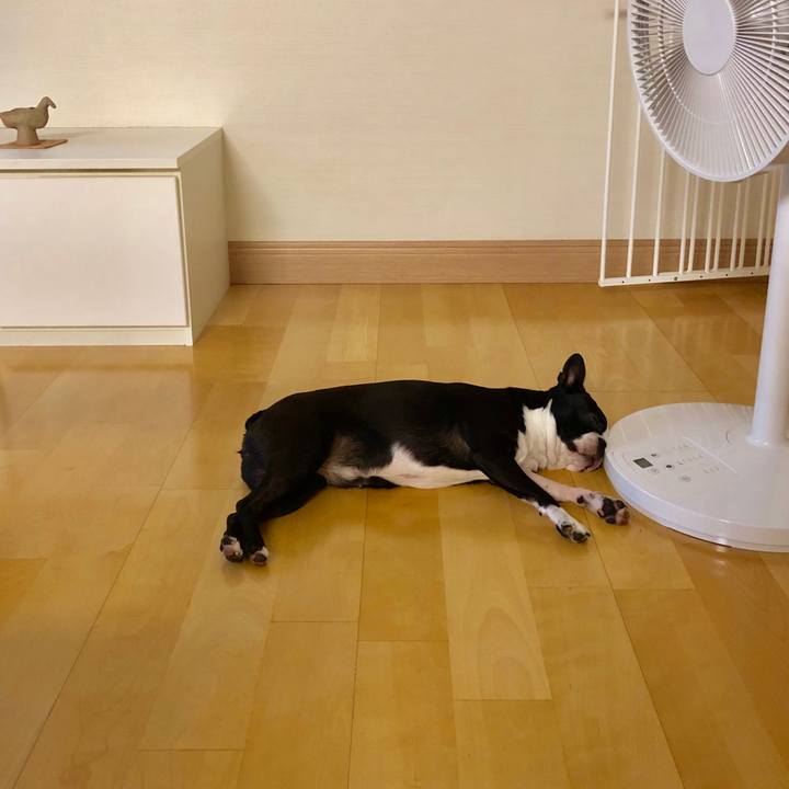 Bdb5d818 3362 41b3 81d6 dd89aab34d07 1566866049247