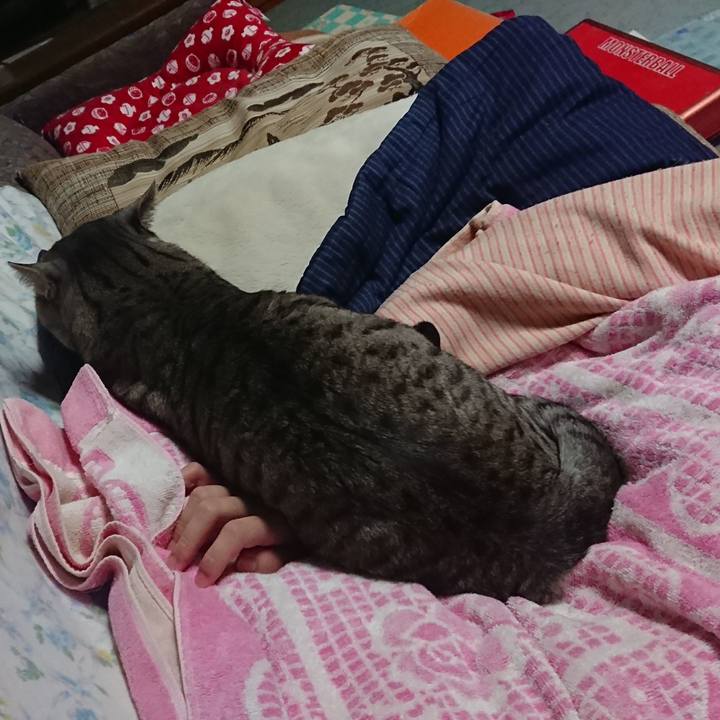 Bdb5e4fc af6c 4cc3 8326 2c338ffacc78 1575364078471