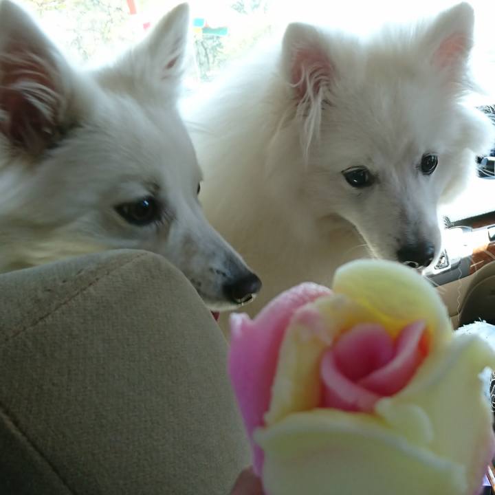 Bdb5eb15 f910 4d7d 8e40 c29cd65ac935 1556775066627