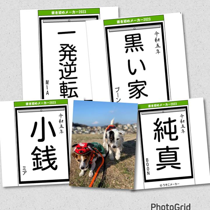 Bdb6098d 3c52 4840 b23a 757b3d2ac462 1672572958476