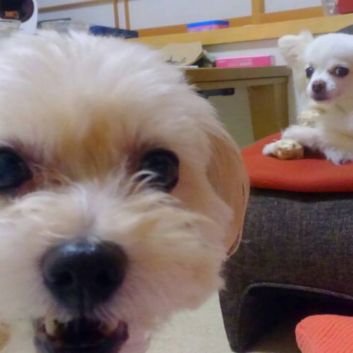 Bdb632ae c6e3 4e77 bd0b 8555d9aac455 1536494392074