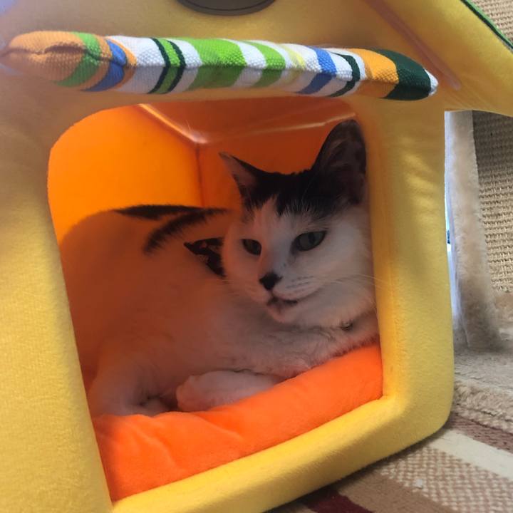 Bdb67289 2a28 48c7 bd59 65626f7a9be1 1577144054070