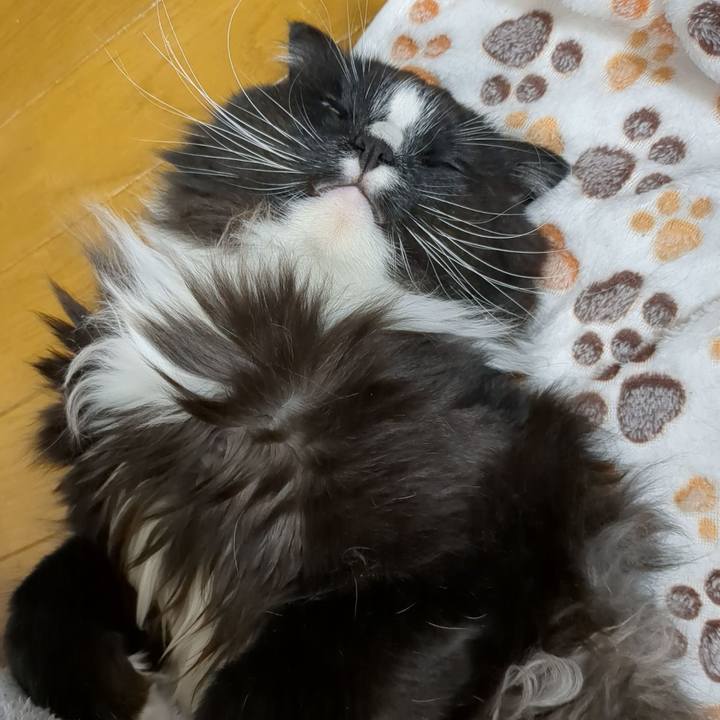 Bdb6750a 1a7d 4144 8d9d 8d681232fe46 1682503718631