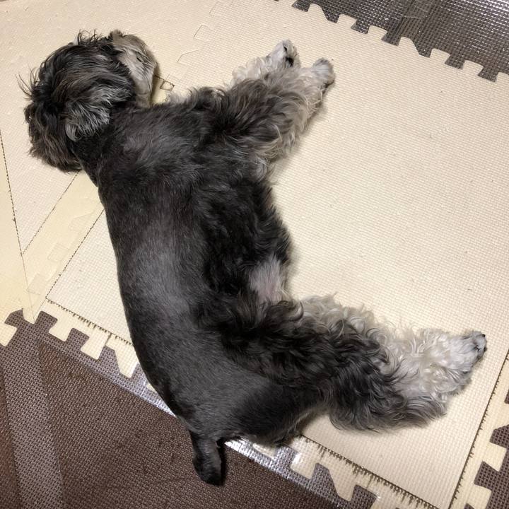 Bdb680b7 5cfb 4ca1 b075 f0f4460abae2 1536322296693