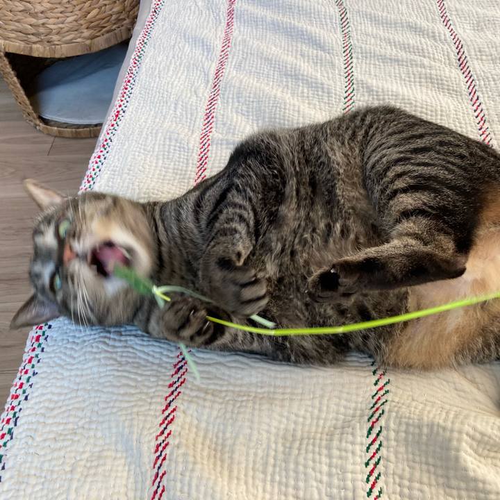 Bdb6b115 2dca 4434 9420 5395d825de65 1715411612012