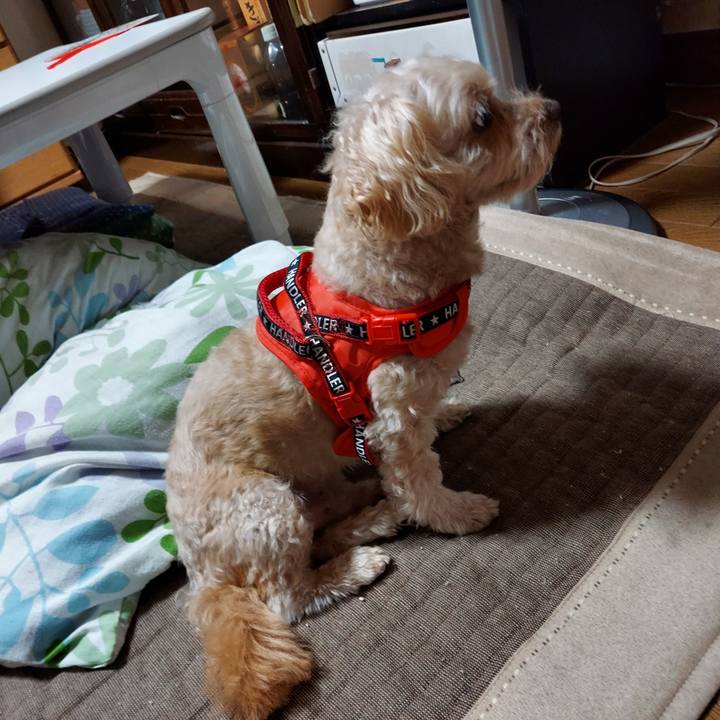 Bdb6fc55 c749 4670 a83b 4b5202b23783 1664362074879