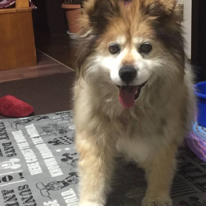 Bdb715b9 ae71 4af5 b505 a7984c301f5c 1575868551244