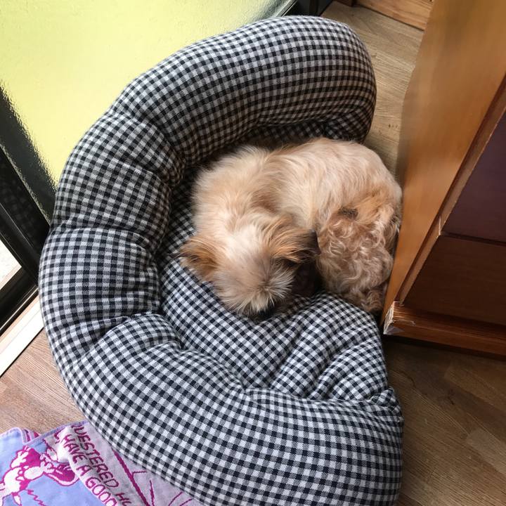 Bdb757a7 de16 40cf 81ea f3d3a8390836 1528422327026