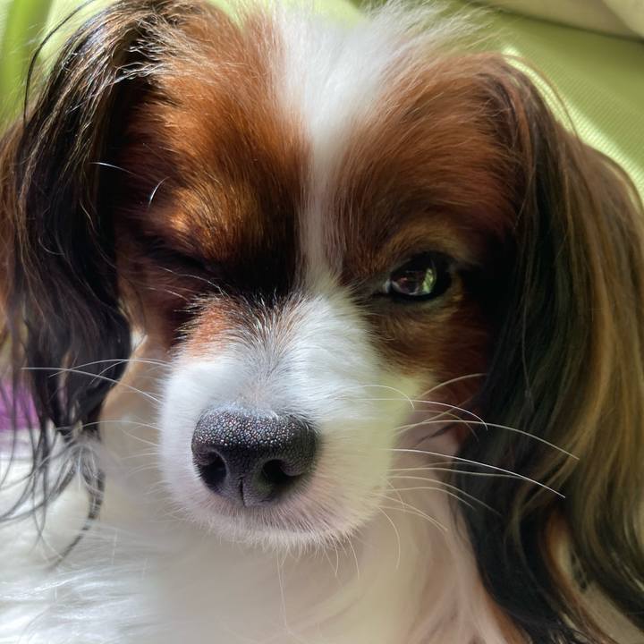 Bdb75ce9 eeb6 4675 b7c2 a75ab004b47e 1632893863415