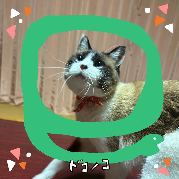 Bdb773f8 5810 42c8 887d 48e9ebd61b56 1741177453282